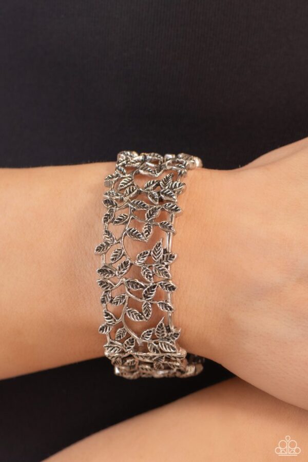 Paparazzi Bracelet ~ Whose VINE Is It Anyway? - Silver