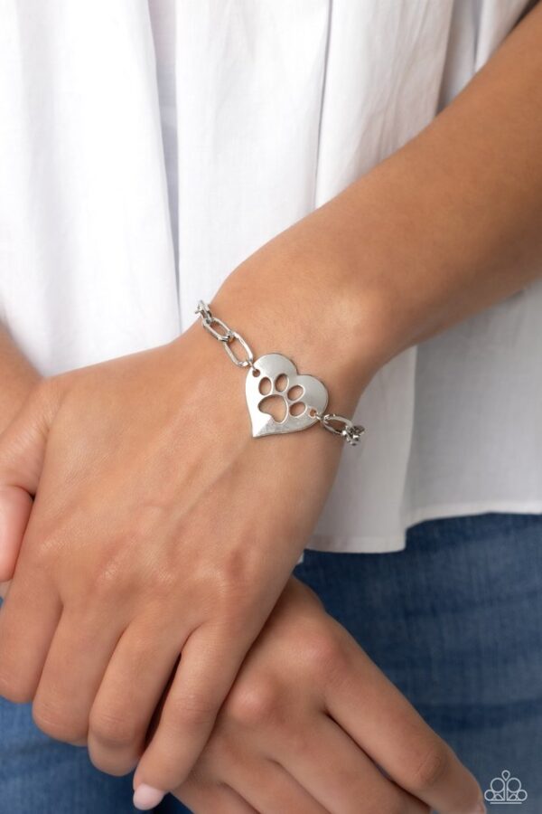 Paparazzi Bracelet ~ PAW-sitively Perfect - Silver